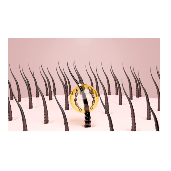 The Ultimate Guide to Hair Fibres